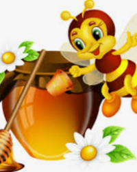 Rencontre avec notre apiculteur et pépiniériste