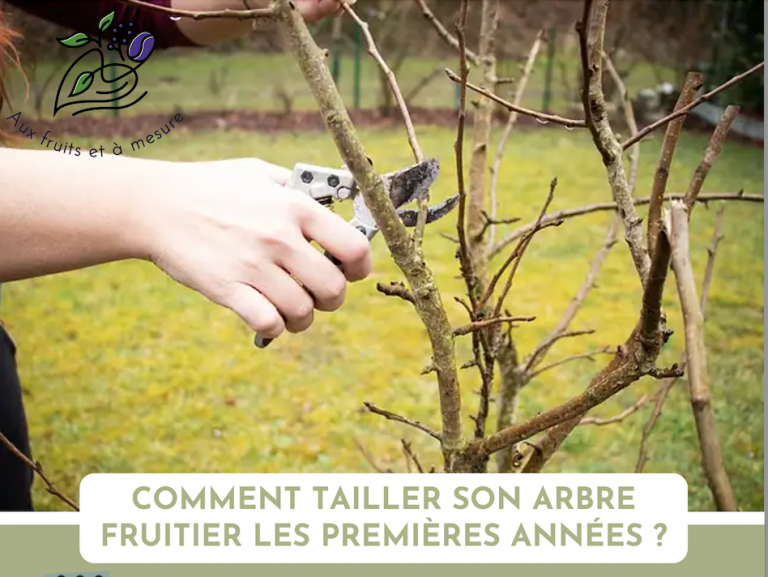 Formation sur la taille des arbres fruitiers